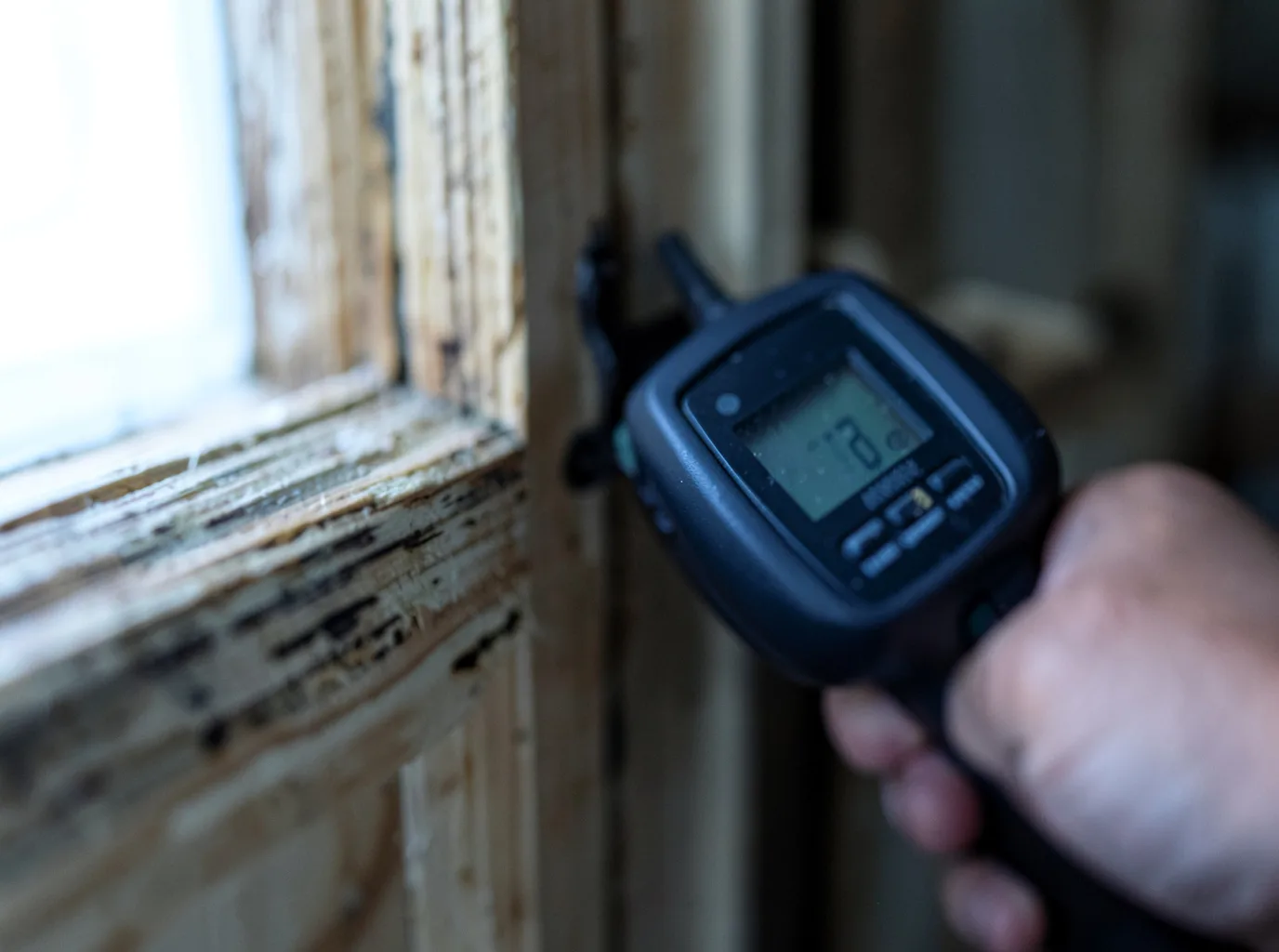 Commercial Water Damage Restoration in Beverly Hills, FL